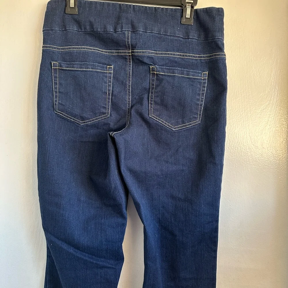 Chadwicks Classic Blue Pull-up Jeans Timeless  Size 10T - Picture 3 of 6